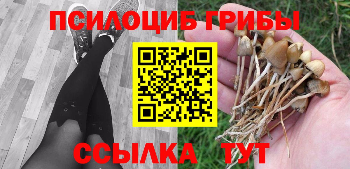Псилоцибиновые грибы MAGIC MUSHROOMS  Вход с VPN  Волжский 