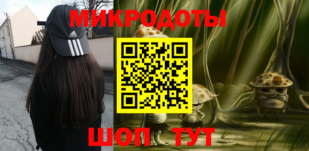 Псилоцибиновые грибы Psilocybe  Волжский  Галлюциногенные грибы мухоморы 